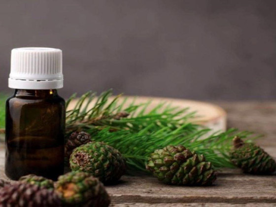 10 زيوت لها تأثيرات سحرية في آلام الحلق صورة رقم 6 10 زيوت لها تأثيرات سحرية في آلام الحلق صورة رقم 6