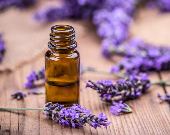 بينها اللافندر.. 5 زيوت عطرية تصبح سامة عند الإفراط في استخدامها! صورة رقم 2 بينها اللافندر.. 5 زيوت عطرية تصبح سامة عند الإفراط في استخدامها! صورة رقم 2