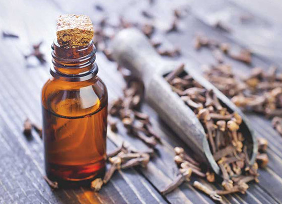 بينها اللافندر.. 5 زيوت عطرية تصبح سامة عند الإفراط في استخدامها! صورة رقم 5 بينها اللافندر.. 5 زيوت عطرية تصبح سامة عند الإفراط في استخدامها! صورة رقم 5