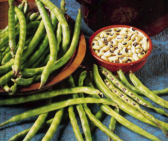 تحتوي سموما لا تُدمر إلا بالطهي أو النقع.. 7 أطعمة لا يجب تناولها نيئة صورة رقم 5 تحتوي سموما لا تُدمر إلا بالطهي أو النقع.. 7 أطعمة لا يجب تناولها نيئة صورة رقم 5