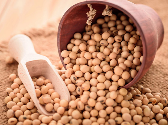 يقي من السرطان، يقوي العظام، ويساعد بفقدان الوزن.. فوائد فول الصويا صورة رقم 3 يقي من السرطان، يقوي العظام، ويساعد بفقدان الوزن.. فوائد فول الصويا صورة رقم 3
