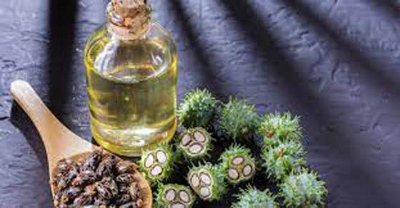 فوائد زيت الخروع الأسود الجامايكي لبشرتكِ صورة رقم 2