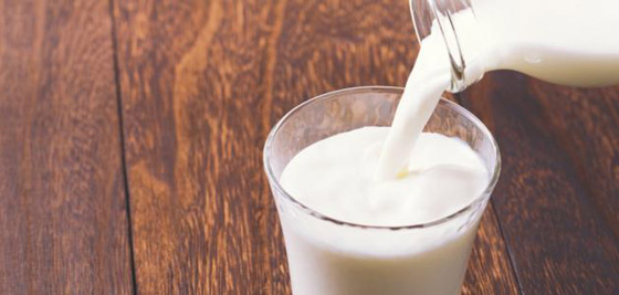 فوائد صحية لجسم الانسان عند تناول حليب الإبل.. فما هي؟ صورة رقم 2