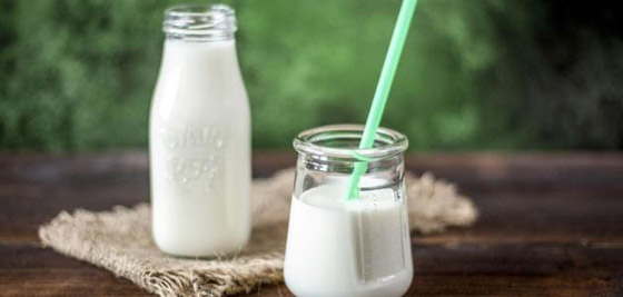 فوائد صحية لجسم الانسان عند تناول حليب الإبل.. فما هي؟ صورة رقم 6