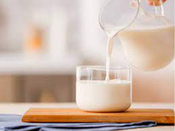 فوائد صحية لجسم الانسان عند تناول حليب الإبل.. فما هي؟ صورة رقم 13