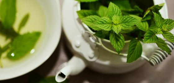 وصفة شاي عجيبة للتخلص من الصداع والانتفاخ وآلام البطن صورة رقم 7