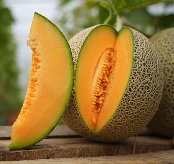 6 فوائد مذهلة ستجعل الشمام فاكهتكم الصيفية المفضلة صورة رقم 6