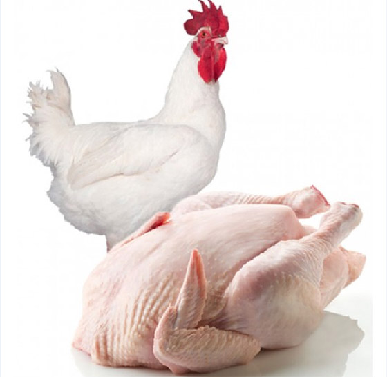 لا تغسلي الدجاج أبداً.. واتبعي هذه الخطوات عند طهيه صورة رقم 8