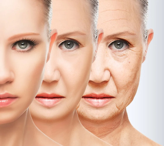 سر بسيط للغاية يساعد على الحياة لعمر أطول بدون أمراض..! صورة رقم 5