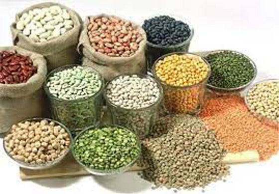 هل يمكن تخفيف القلق بالمكملات الغذائية؟ صورة رقم 3