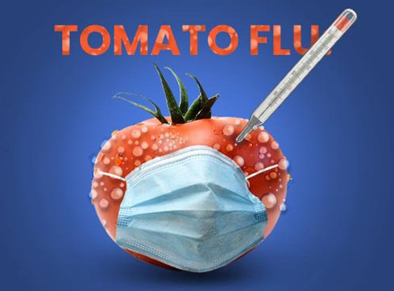 ما آخرة هذه الفيروسات؟ 11 معلومة عن إنفلونزا الطماطم بعد ظهوره في الهند! صورة رقم 3