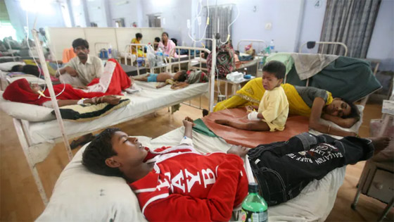 ما آخرة هذه الفيروسات؟ 11 معلومة عن إنفلونزا الطماطم بعد ظهوره في الهند! صورة رقم 4