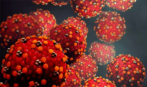 ما آخرة هذه الفيروسات؟ 11 معلومة عن إنفلونزا الطماطم بعد ظهوره في الهند! صورة رقم 7