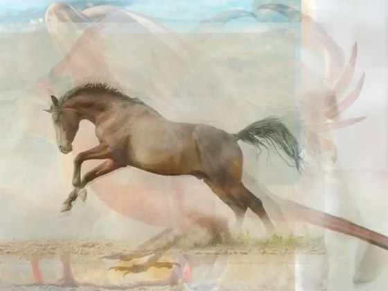 ما تراه أولا يكشف عن 