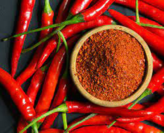 طرق للقضاء على حشرات المنزل.. صيفاً صورة رقم 7