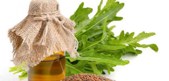 فوائد زيت الجرجير في تطويل الشعر صورة رقم 7