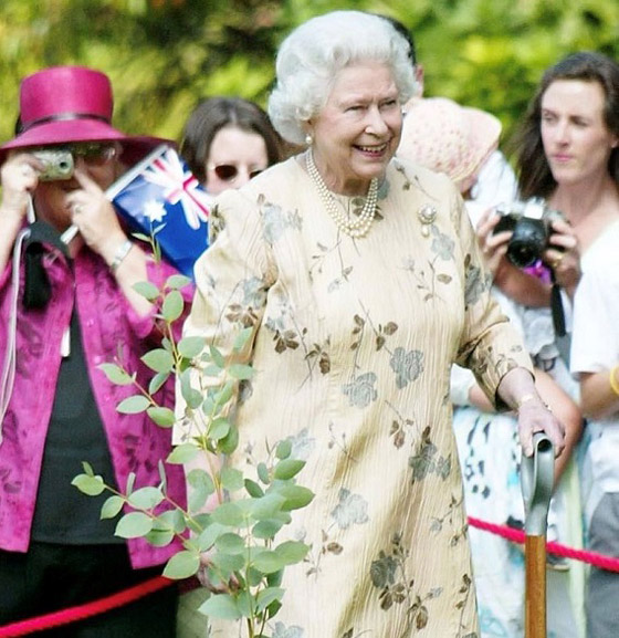 بالصور: جولة على مجوهرات الملكة إليزابيث المرصعة باللؤلؤ الخلاب صورة رقم 8 بالصور: جولة على مجوهرات الملكة إليزابيث المرصعة باللؤلؤ الخلاب صورة رقم 8