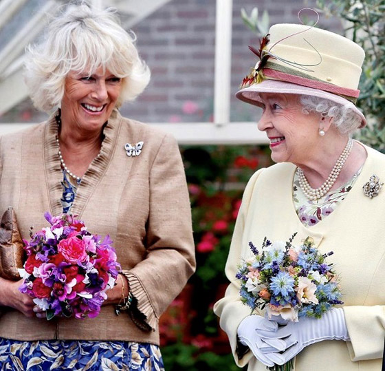 بالصور: جولة على مجوهرات الملكة إليزابيث المرصعة باللؤلؤ الخلاب صورة رقم 19 بالصور: جولة على مجوهرات الملكة إليزابيث المرصعة باللؤلؤ الخلاب صورة رقم 19