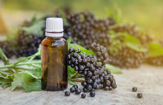 نبات البيلسان (الخمان الأسود) صيدلية طبيعية.. هذه فوائده المدهشة وأضراره صورة رقم 3 نبات البيلسان (الخمان الأسود) صيدلية طبيعية.. هذه فوائده المدهشة وأضراره صورة رقم 3