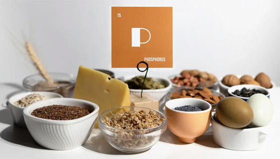 لعظام أقوى مع التقدم في العمر.. إليكم 7 أطعمة غنية بالفوسفور صورة رقم 1 لعظام أقوى مع التقدم في العمر.. إليكم 7 أطعمة غنية بالفوسفور صورة رقم 1