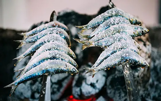 لعظام أقوى مع التقدم في العمر.. إليكم 7 أطعمة غنية بالفوسفور صورة رقم 3 لعظام أقوى مع التقدم في العمر.. إليكم 7 أطعمة غنية بالفوسفور صورة رقم 3