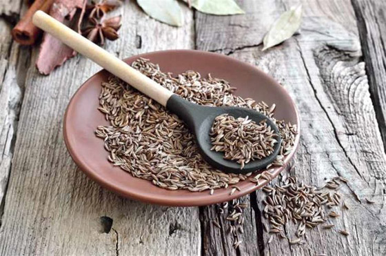 فوائد الكراوية الصحية وأهم أضرارها صورة رقم 4