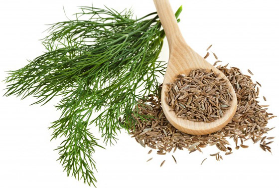 فوائد الكراوية الصحية وأهم أضرارها صورة رقم 8