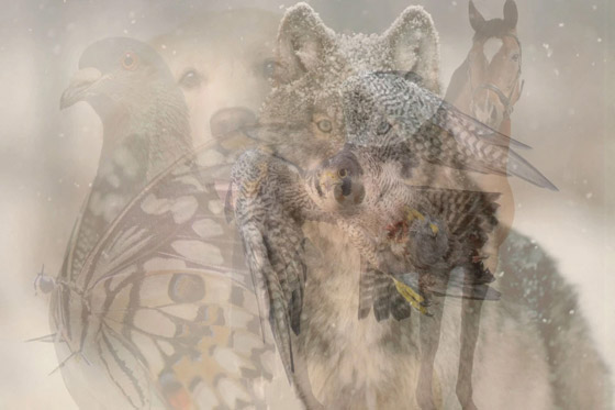 دقق جيدا بالصورة.. فقد تكتشف طبيعتك الحقيقية ونهجك بالحياة! صورة رقم 1 دقق جيدا بالصورة.. فقد تكتشف طبيعتك الحقيقية ونهجك بالحياة! صورة رقم 1