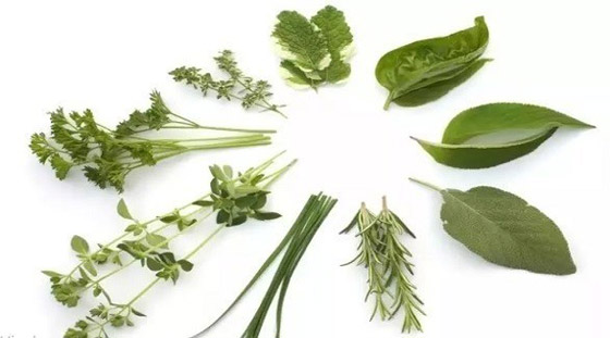 أفضل نباتات ورقية تسرع تخفيض الوزن صورة رقم 1