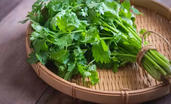 أفضل نباتات ورقية تسرع تخفيض الوزن صورة رقم 5