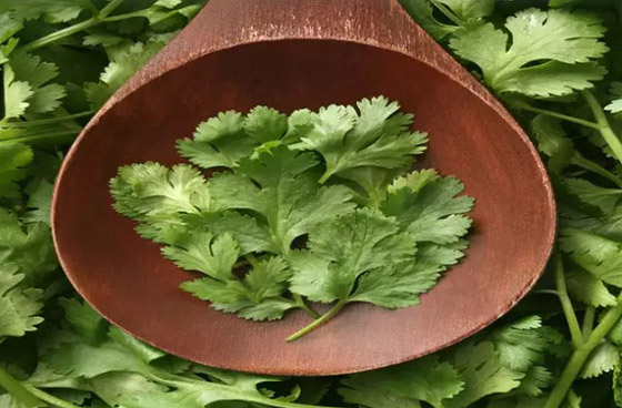 أفضل نباتات ورقية تسرع تخفيض الوزن صورة رقم 4