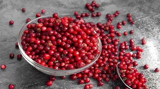 تناول التوت البري كل يوم يحسن الذاكرة ويقي من الخرف صورة رقم 1