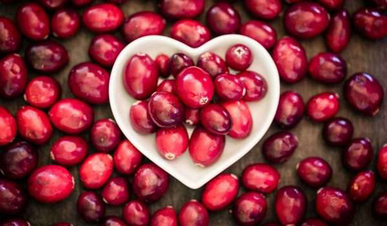 تناول التوت البري كل يوم يحسن الذاكرة ويقي من الخرف صورة رقم 4