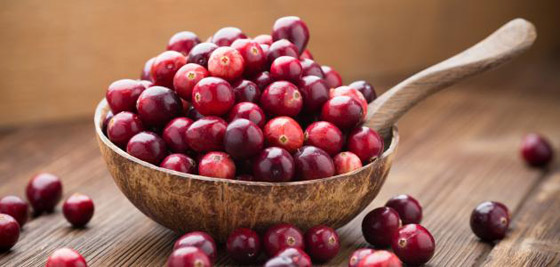 تناول التوت البري كل يوم يحسن الذاكرة ويقي من الخرف صورة رقم 5