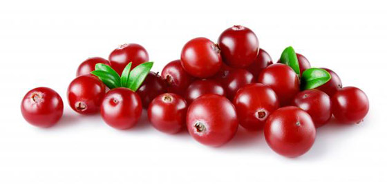 تناول التوت البري كل يوم يحسن الذاكرة ويقي من الخرف صورة رقم 7