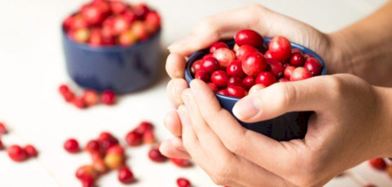 تناول التوت البري كل يوم يحسن الذاكرة ويقي من الخرف صورة رقم 9