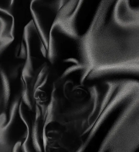 هل تصلح للقيادة وتمتلك صفاتها؟ ما تراه في الصورة يحدد ذلك.. صورة رقم 1 هل تصلح للقيادة وتمتلك صفاتها؟ ما تراه في الصورة يحدد ذلك.. صورة رقم 1