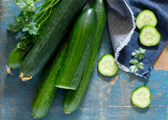 بالدليل العلمي.. 3 مكونات للسلطة لا يجب عليكم تخزينها في البراد صورة رقم 1 بالدليل العلمي.. 3 مكونات للسلطة لا يجب عليكم تخزينها في البراد صورة رقم 1