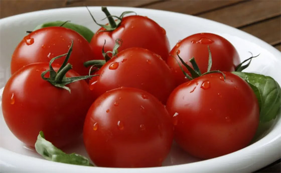 بالدليل العلمي.. 3 مكونات للسلطة لا يجب عليكم تخزينها في البراد صورة رقم 2 بالدليل العلمي.. 3 مكونات للسلطة لا يجب عليكم تخزينها في البراد صورة رقم 2