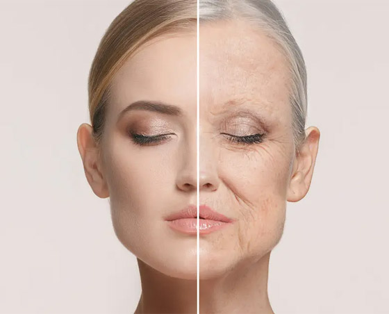 للوقاية من الشيخوخة.. إليكم 7 نصائح لا غنى عنها صورة رقم 1 للوقاية من الشيخوخة.. إليكم 7 نصائح لا غنى عنها صورة رقم 1