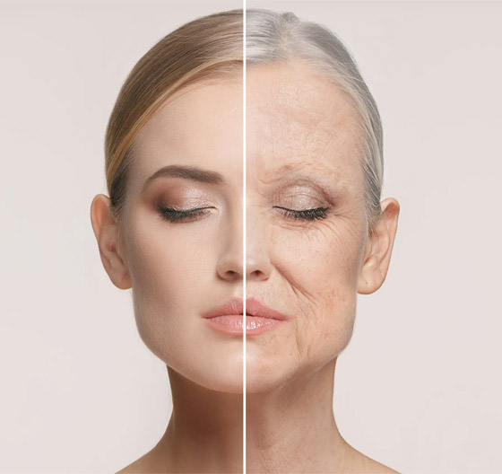 إليكم 4 عناصر غذائية تعمل بمثابة ينبوع شباب للبشرة صورة رقم 2 إليكم 4 عناصر غذائية تعمل بمثابة ينبوع شباب للبشرة صورة رقم 2