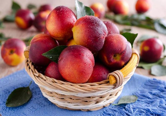 ماسك ذهبي لإضاءة وشد الوجه والبشرة.. والنتيجة بعد أول مرة! صورة رقم 3 ماسك ذهبي لإضاءة وشد الوجه والبشرة.. والنتيجة بعد أول مرة! صورة رقم 3