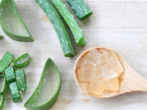 بينها البطيخ والكيوي.. 7 مكونات نباتية تروي البشرة والشعر صورة رقم 1 بينها البطيخ والكيوي.. 7 مكونات نباتية تروي البشرة والشعر صورة رقم 1