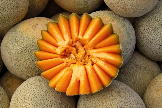 بينها البطيخ والكيوي.. 7 مكونات نباتية تروي البشرة والشعر صورة رقم 6 بينها البطيخ والكيوي.. 7 مكونات نباتية تروي البشرة والشعر صورة رقم 6