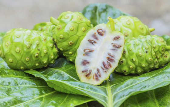 فوائد فاكهة النوني ستصدمكم..! صورة رقم 1 فوائد فاكهة النوني ستصدمكم..! صورة رقم 1