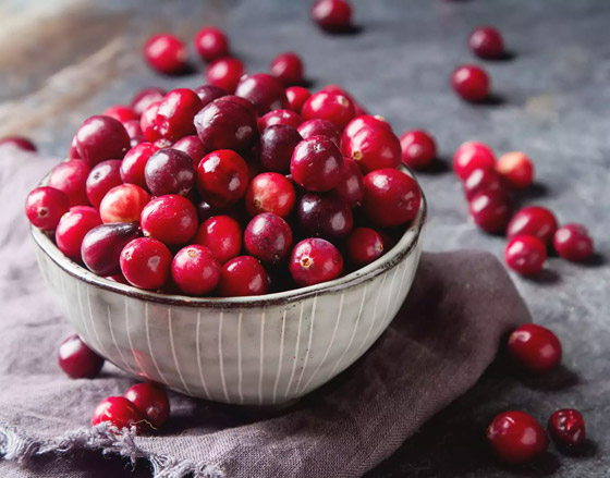 التوت البري.. فاكهة بحجم صغير وفوائد صحية جمة صورة رقم 1 التوت البري.. فاكهة بحجم صغير وفوائد صحية جمة صورة رقم 1