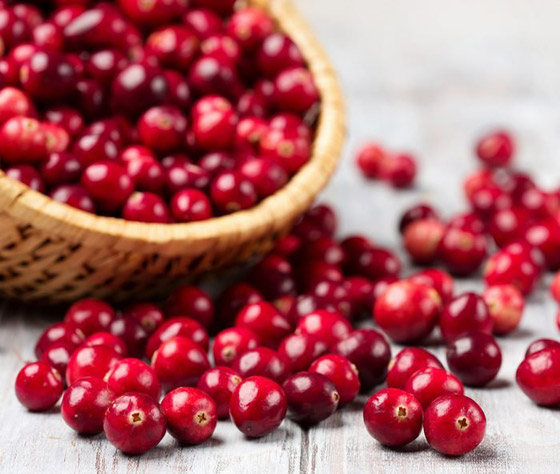 التوت البري.. فاكهة بحجم صغير وفوائد صحية جمة صورة رقم 3 التوت البري.. فاكهة بحجم صغير وفوائد صحية جمة صورة رقم 3