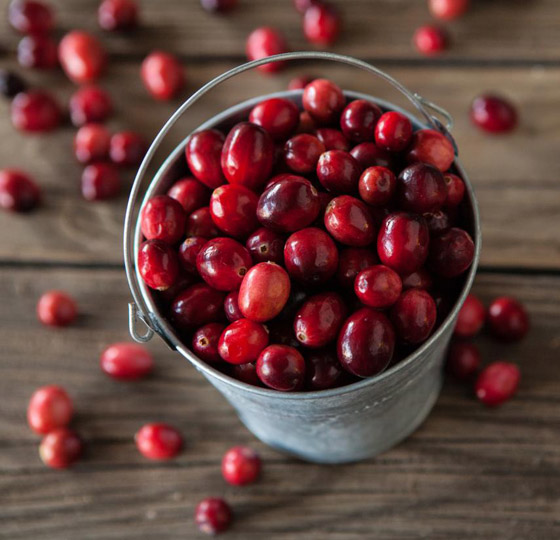 التوت البري.. فاكهة بحجم صغير وفوائد صحية جمة صورة رقم 4 التوت البري.. فاكهة بحجم صغير وفوائد صحية جمة صورة رقم 4