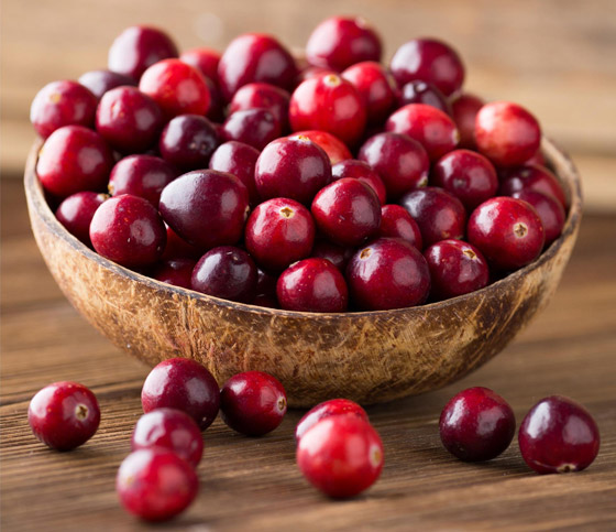 التوت البري.. فاكهة بحجم صغير وفوائد صحية جمة صورة رقم 6 التوت البري.. فاكهة بحجم صغير وفوائد صحية جمة صورة رقم 6