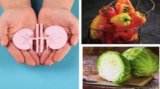 5 أطعمة للوقاية من أمراض الكلى صورة رقم 1